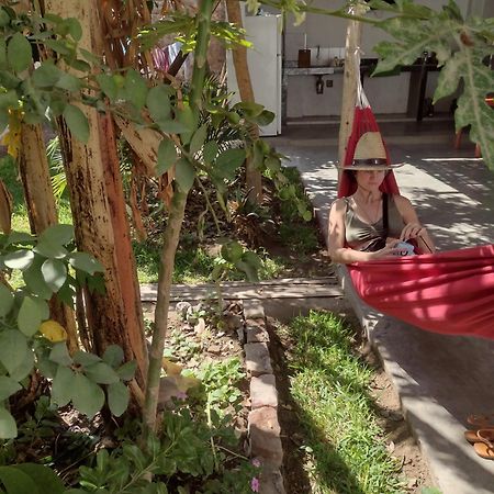 Flying Monkey Hostel Наска Экстерьер фото